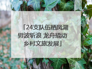 24支队伍栖凤湖劈波斩浪 龙舟撬动乡村文旅发展