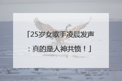 25岁女歌手凌晨发声：真的是人神共愤！