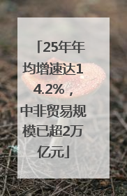 25年年均增速达14.2%，中非贸易规模已超2万亿元