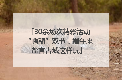 30余场次精彩活动“嗨翻”双节，端午来盐官古城这样玩