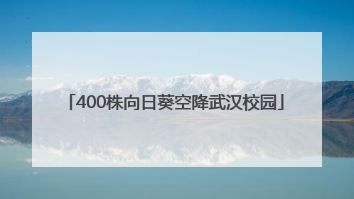 400株向日葵空降武汉校园