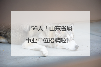 56人！山东省属事业单位招聘啦