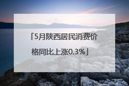 5月陕西居民消费价格同比上涨0.3%