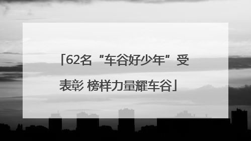 62名“车谷好少年”受表彰 榜样力量耀车谷