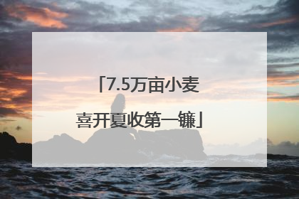 7.5万亩小麦喜开夏收第一镰