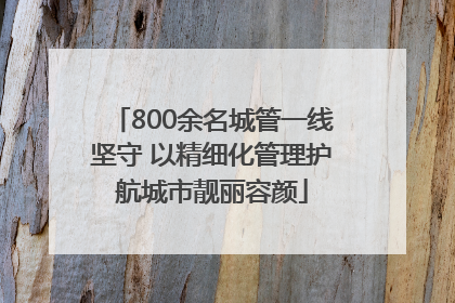 800余名城管一线坚守 以精细化管理护航城市靓丽容颜