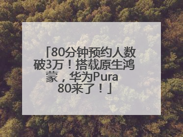 80分钟预约人数破3万！搭载原生鸿蒙，华为Pura 80来了！