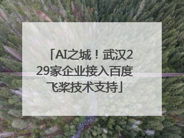 AI之城！武汉229家企业接入百度飞桨技术支持