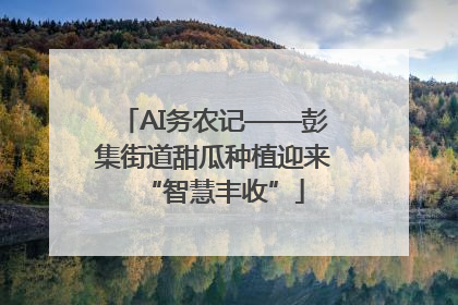 AI务农记——彭集街道甜瓜种植迎来“智慧丰收”