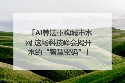 AI算法重构城市水网 这场科技峰会揭开水的“智慧密码”