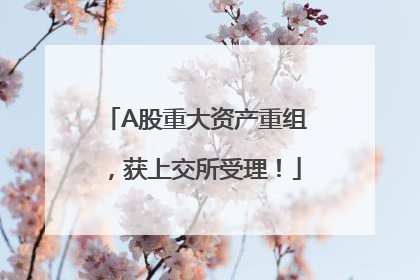 A股重大资产重组，获上交所受理！