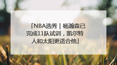NBA选秀｜杨瀚森已完成11队试训，凯尔特人和太阳更适合他