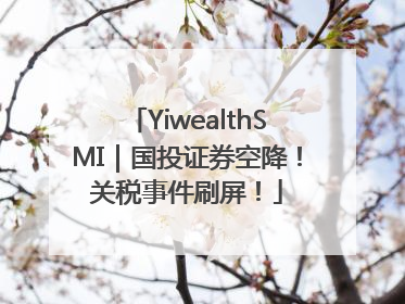 YiwealthSMI｜国投证券空降！关税事件刷屏！